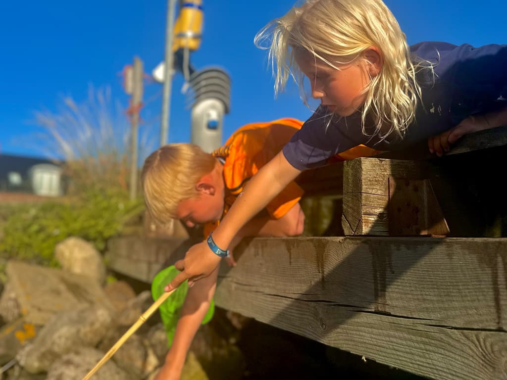 Lohals Havn