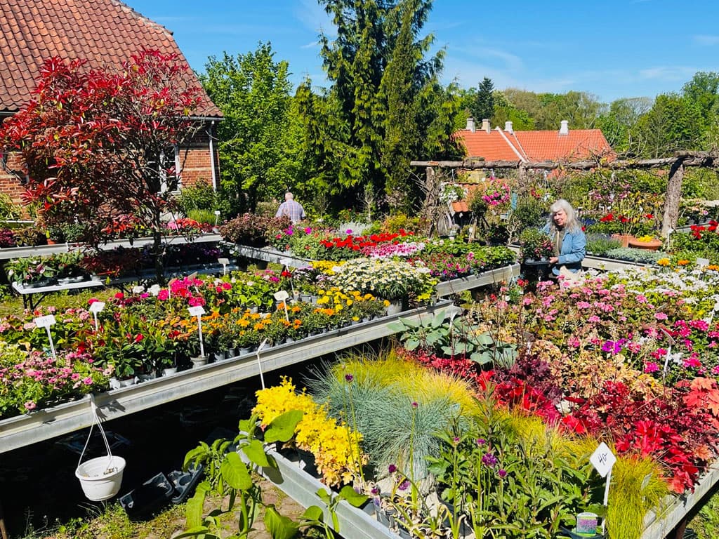 Den Gamle Smedje i Tranekær, billede 13