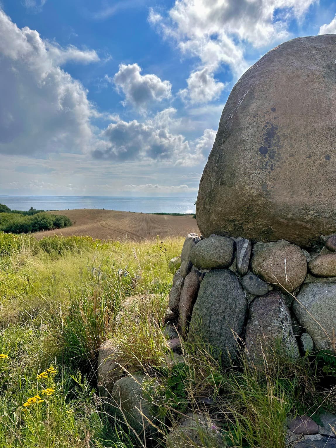 Havørnen ved Lohals, billede 4
