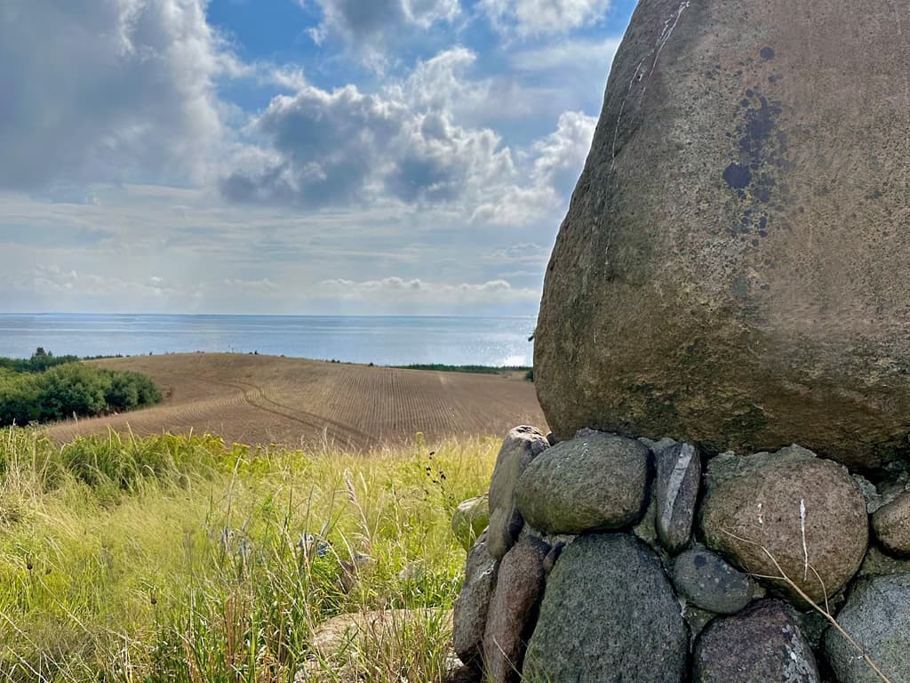 Havørnen ved Lohals, billede 6