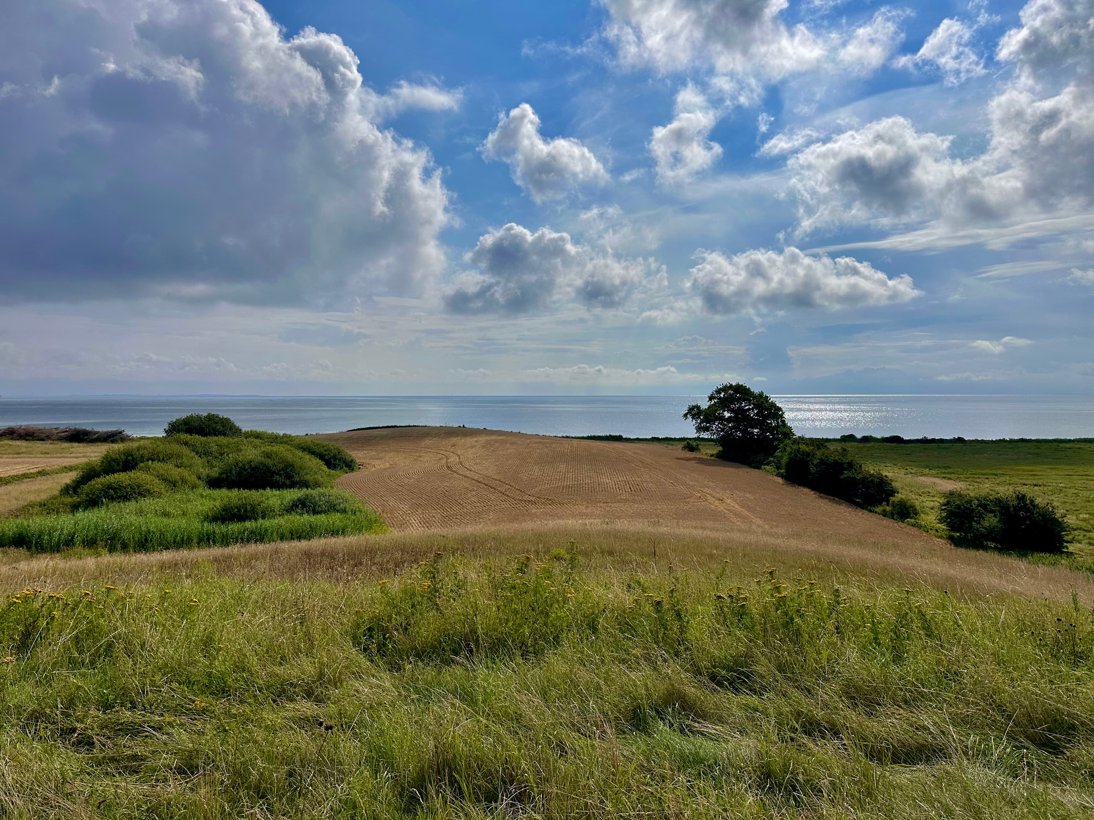 Havørnen, billede 7