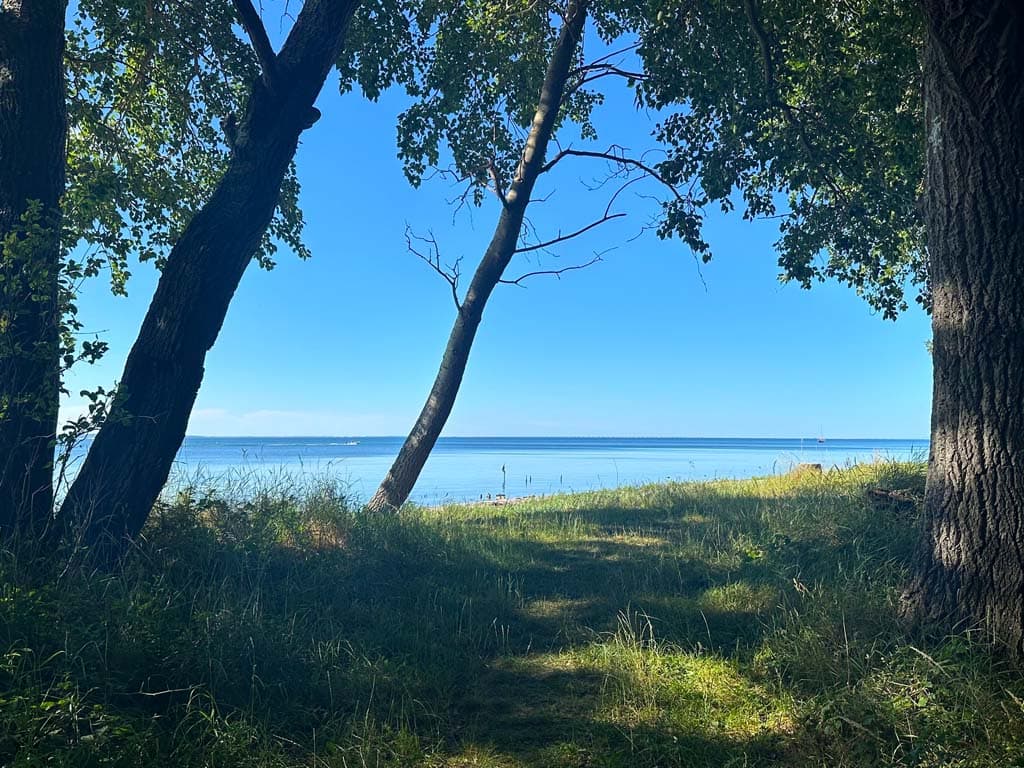 Nordskoven ved Lohals, billede 5