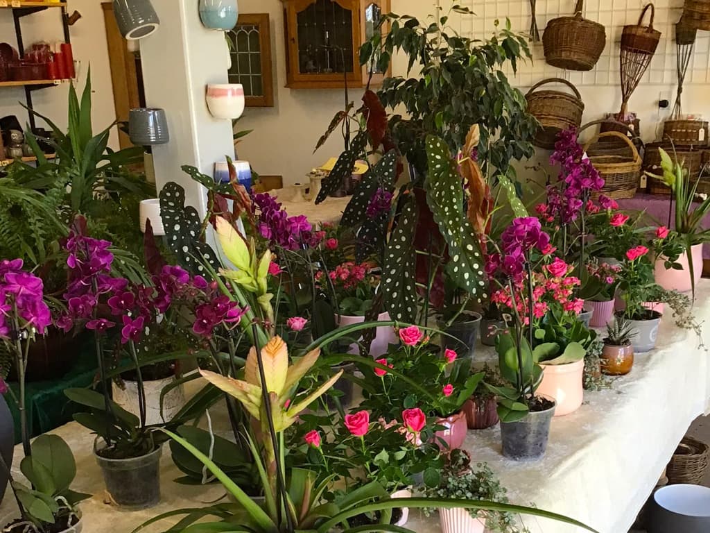 Tved's Blomster i Lohals, billede 2