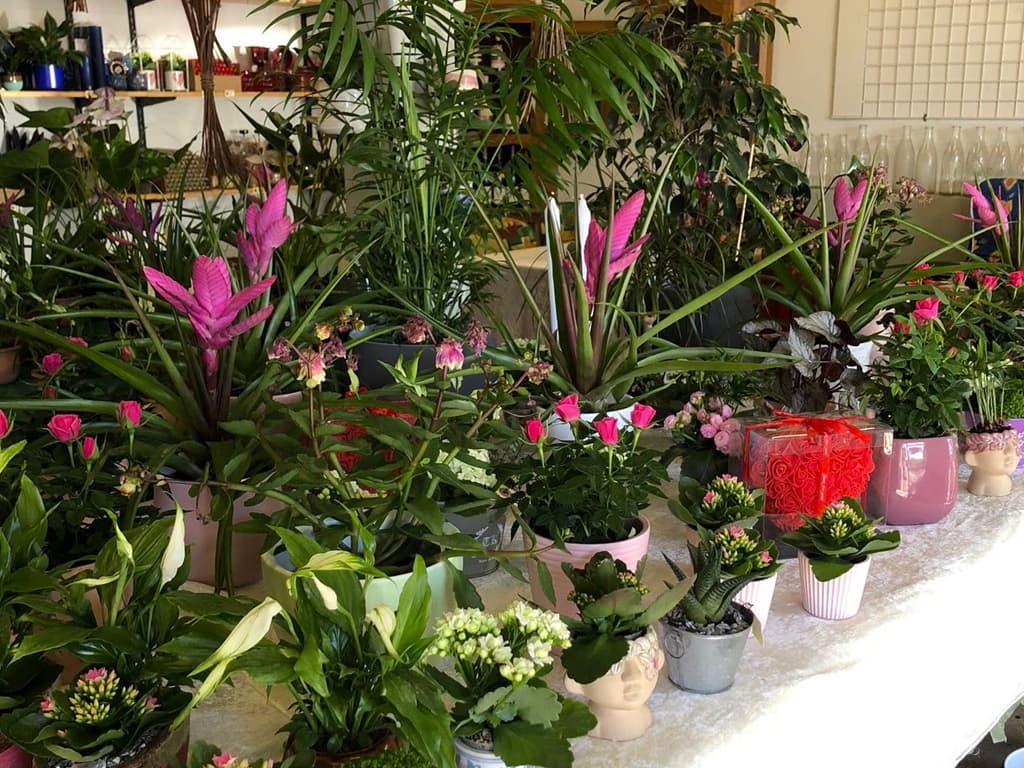 Tved's Blomster i Lohals, billede 3