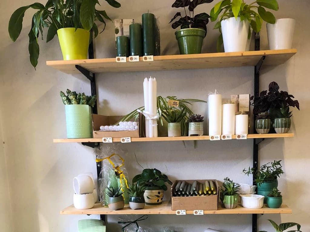 Tved's Blomster i Lohals, billede 6