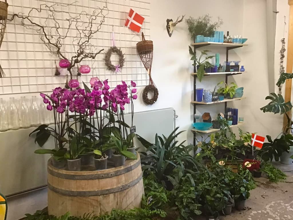 Tved's Blomster i Lohals, billede 9