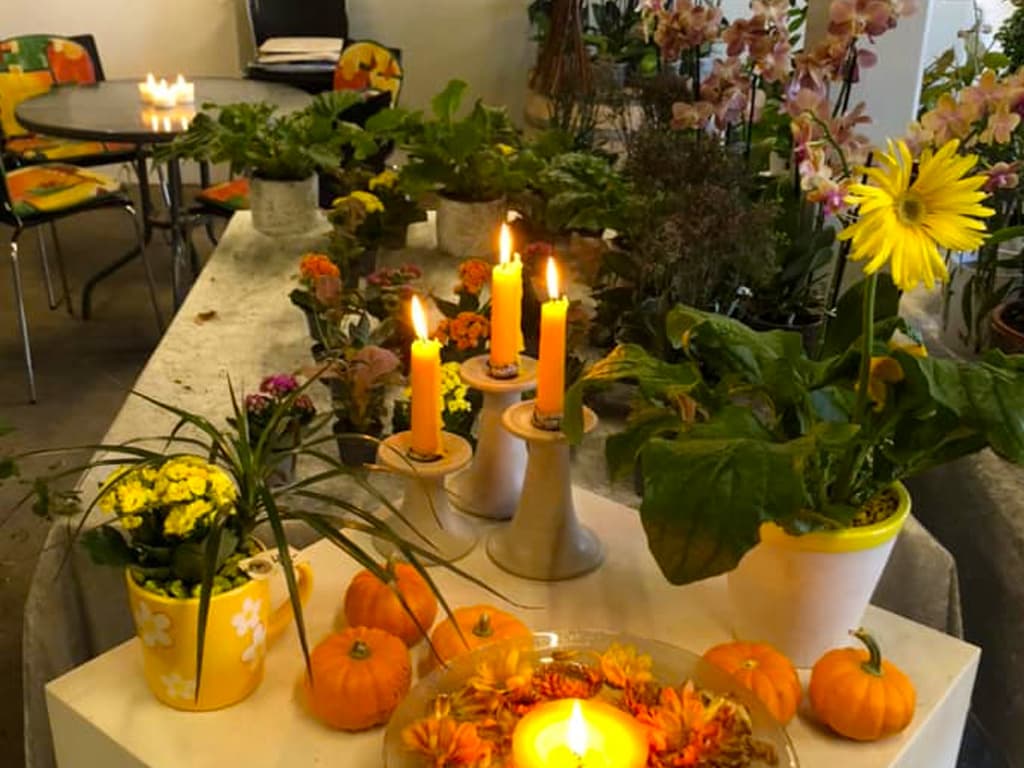 Tved's Blomster i Lohals, billede 10