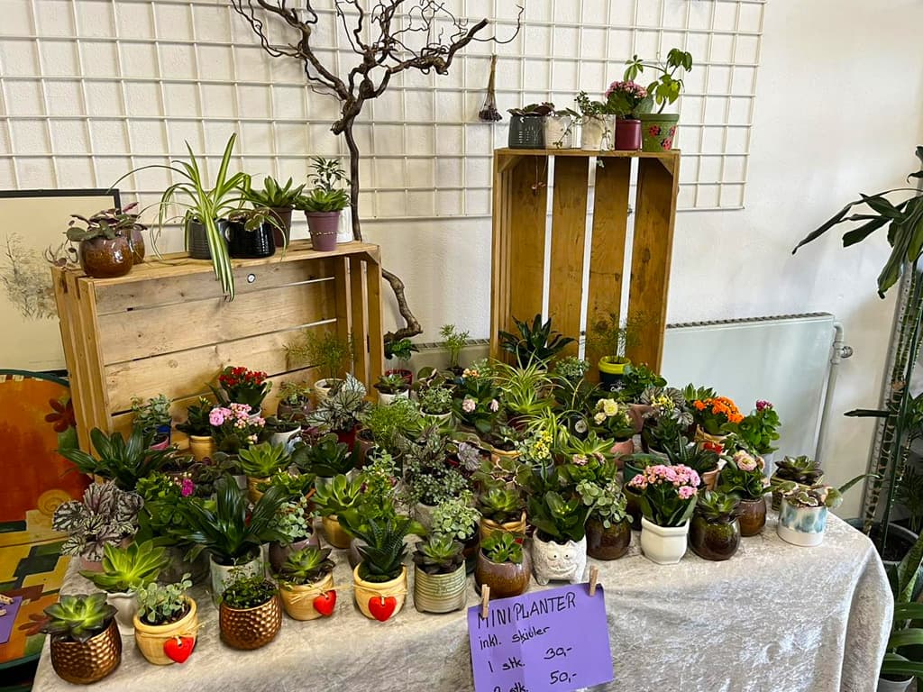 Tved's Blomster i Lohals, billede 13