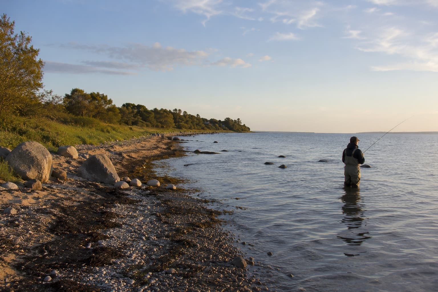 Lystfisker der vader i aftenlys ved Botofte Strand
