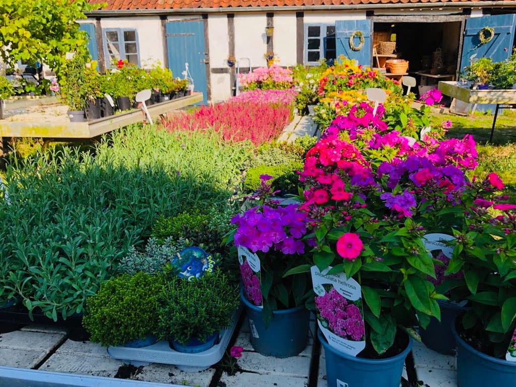 Den Gamle Smedje i Tranekær, billede 3