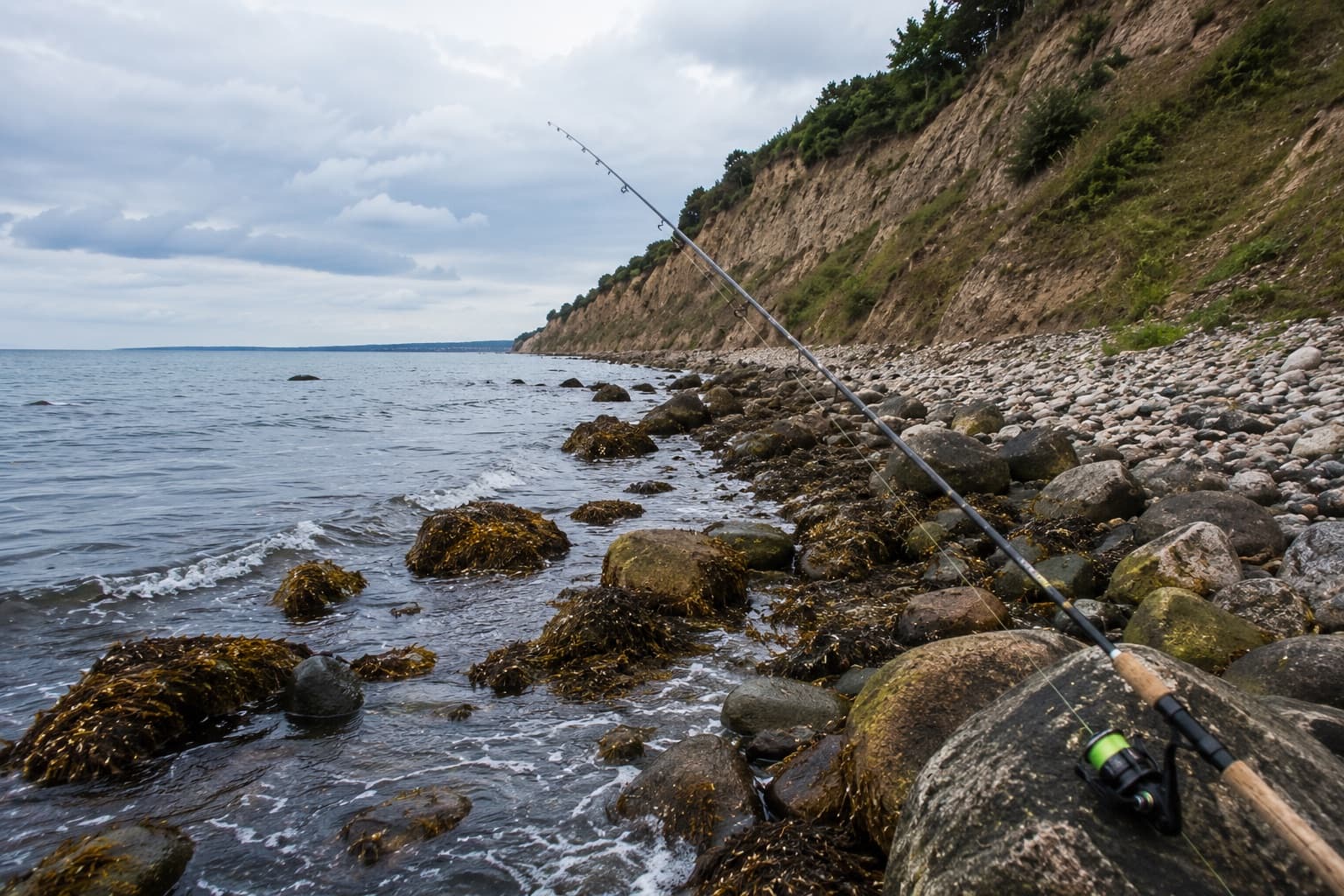 Fiskestang ved klinten på Frankeklint med udsigt langs kysten