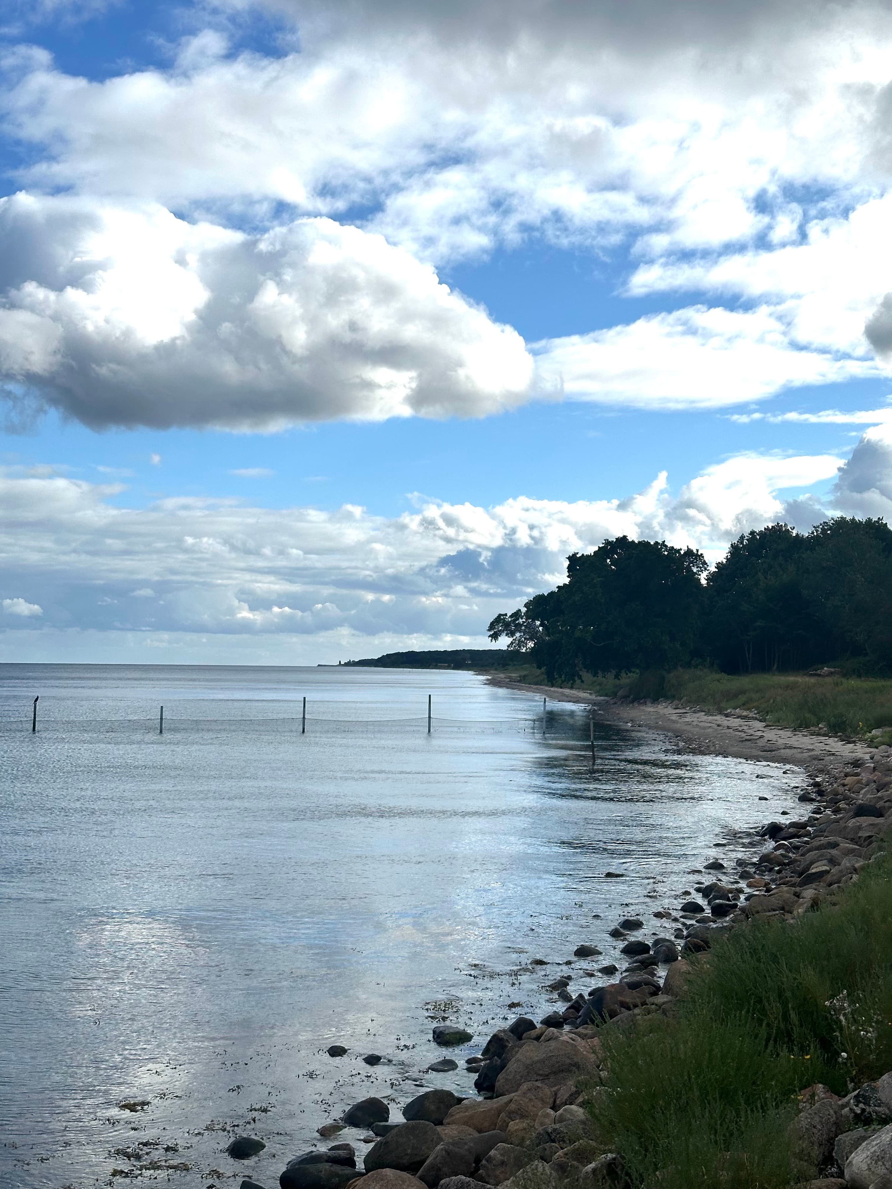 Roligt vand med fiskenet og en stenet kyststrækning ved Hou Fyr