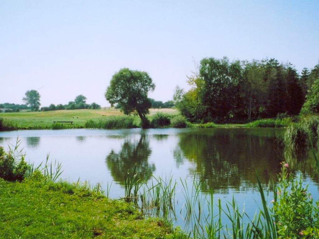 Spodsbjerg Lystfiskersø, billede 1