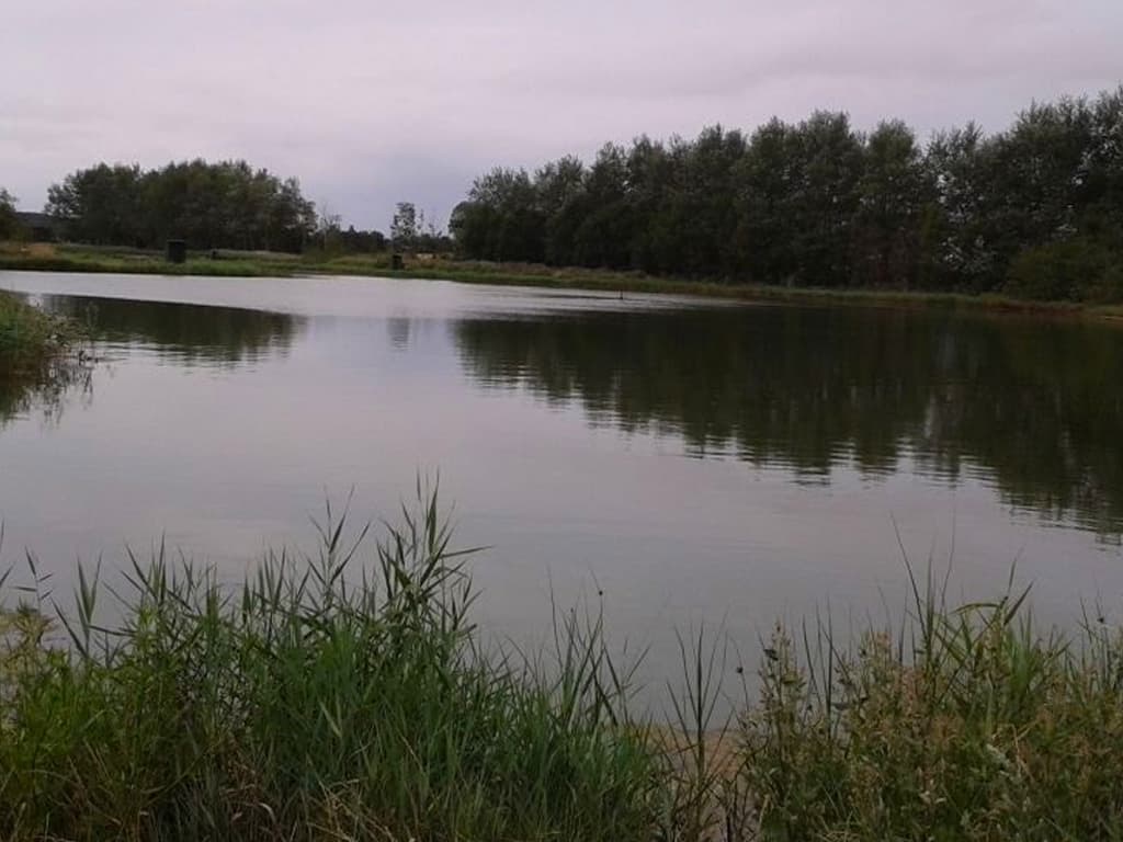 Spodsbjerg Lystfiskersø, billede 3