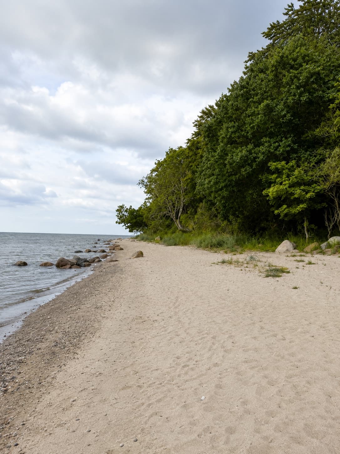 Sandstrand ved Stengade Skov på Langelands østkyst