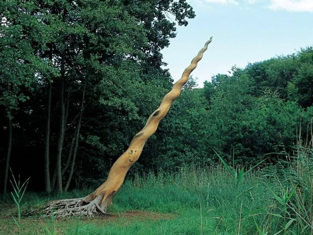 Tickon kunst i landskabet, billede 4