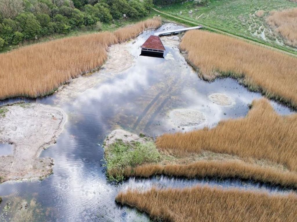 Tryggelev Nor og Nørreballe Nor, billede 3